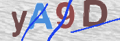 CAPTCHA-Bild