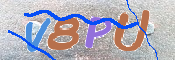 CAPTCHA-Bild