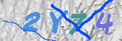 CAPTCHA-Bild